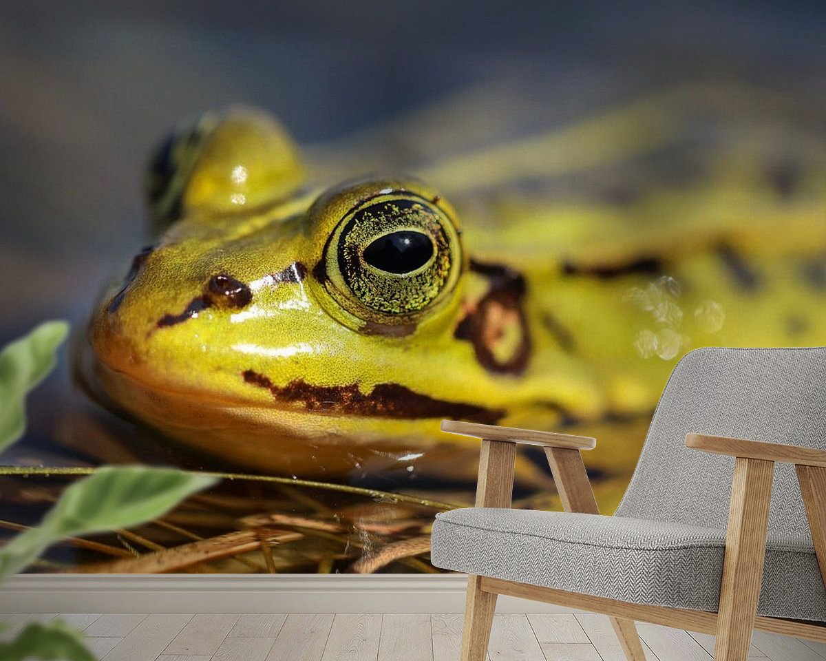 Raumvorschau