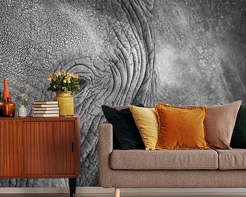 Close-up eye of an African elephant by Krijn van der Giessen