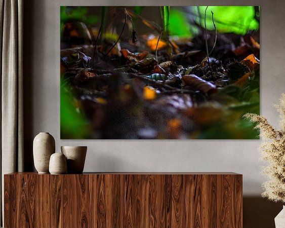 Aperçu de la chambre