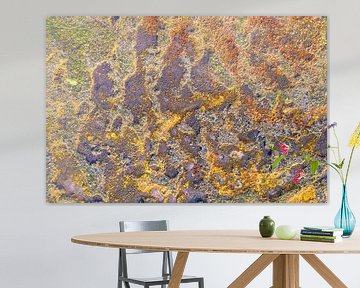 Colors of nature van Jeroen Kleiberg
