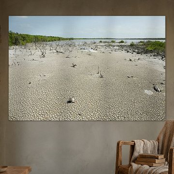 Mangroven und Felsen am tropischen Strand von Cayo las Brujas auf der Karibikinsel Kuba