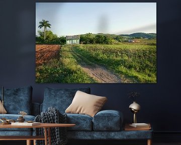 Vinales, Kuba. Ein Panorama mit einem Bauernhof in der Landschaft in Vinales, Kuba. von Tjeerd Kruse