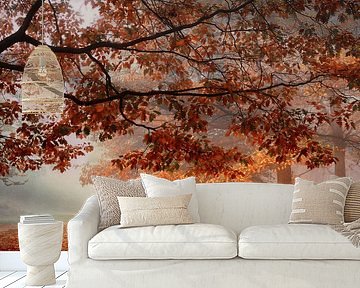 Foggy Dreamforest by Saskia Dingemans Awarded Photographer