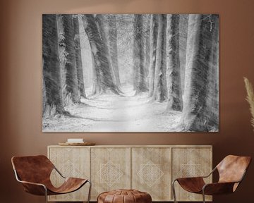 Snow Blizard in The Mastbosforest. Award winning picture. van Saskia Dingemans Awarded Photographer