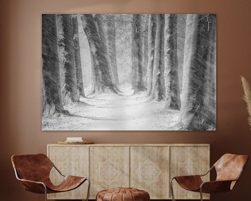 Schneeblisard im Mastbosforest von Saskia Dingemans Awarded Photographer