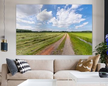 Meadow at the Zuidbuurt by Peter van Dongen