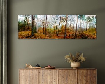 Wald Panorama im Herbst von Günter Albers