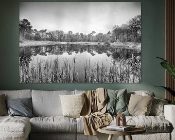 Lake behind the reed by Mark Bolijn