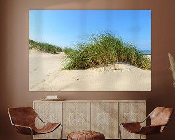 Duinen aan het strand tijdens een prachtige zomerdag