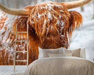 Portret van een Schotse Hooglander koe in de sneeuw van Sjoerd van der Wal Fotografie