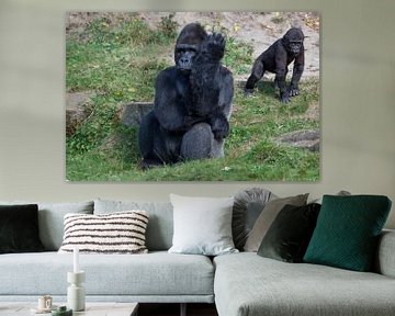 Gorilla mannetje met jong op de achtergrond van Joost Adriaanse