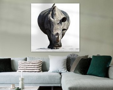 Rhinoceros portrait in white with birds by Sharing Wildlife