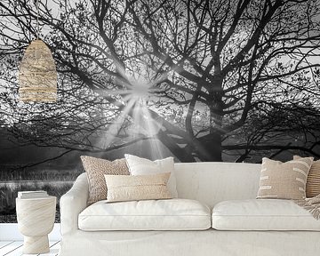 Hope brings life by Sjors Gijsbers