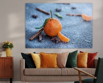 winter orange by Sergej Nickel