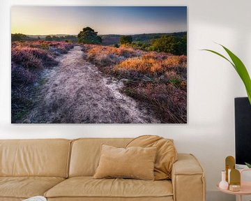 purple landscape by Pim Leijen