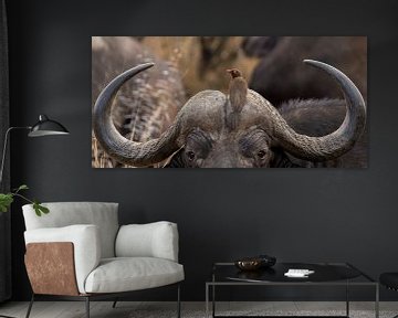 Buffalo with bird upside down South Africa by John Stijnman