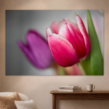 Tulpen