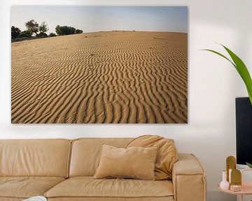 Thar desert, Rajasthan India by Tjeerd Kruse