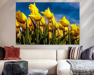 Gele Tulpen in de Wind by Brian Morgan