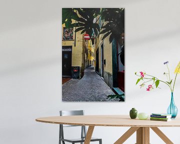 Italian alley by Eliberto