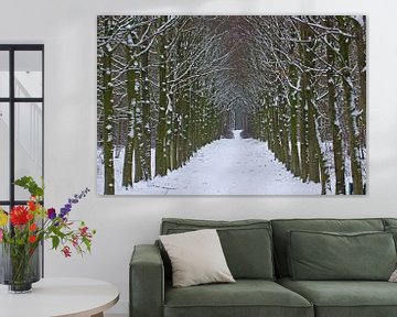 Winter in het bos, een laan bomen met sneeuw van Discover Dutch Nature