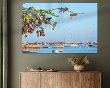 Hanging slippers in tree at coast of Bonaire with boats by Ben Schonewille