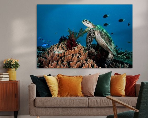 Aperçu de la chambre