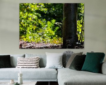 New tree