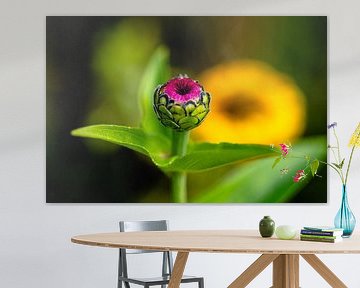 flower bud
