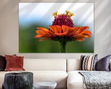 flower decoration