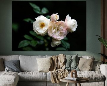 witte rozen van Tania Perneel