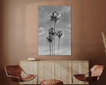 Prachtige palmbomen monochroom van Melanie Viola