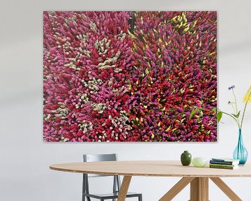 heidebloemen