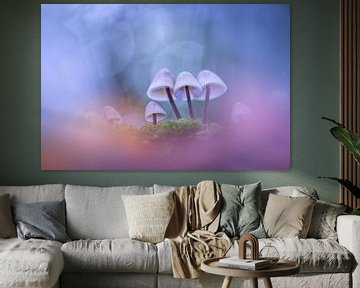 Mushrooms in the clouds by Erik Veldkamp