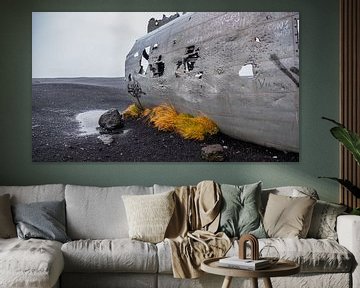 Vliegtuigwrak IJsland van Tim Briers