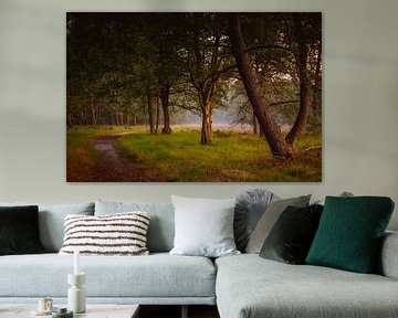 Wald und Heide im goldenen Licht von Gerrit Veldman