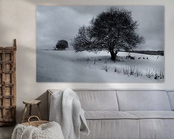 Winterlandschap in Sauerland met boom