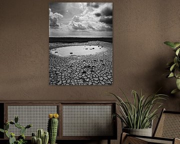 Ameland wadkust plas in droge grond
