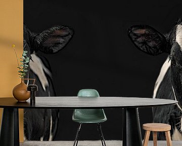 Intriguing Duo-Portrait of Cow - Unique Visual Effect and Creative Photography by Elianne van Turennout