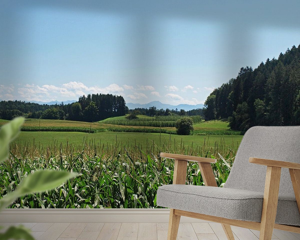 Raumvorschau