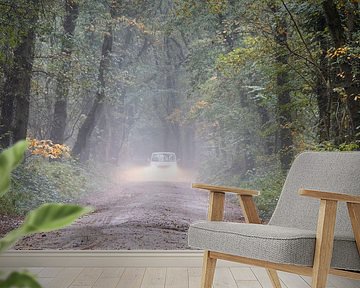 Gedurfde auto bosrit