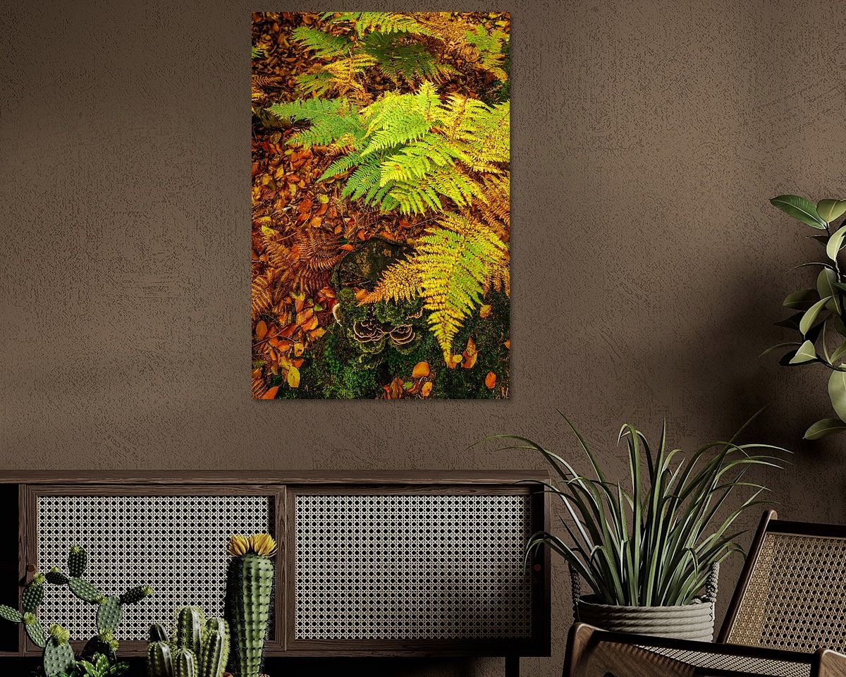 Raumvorschau