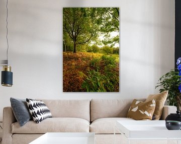 Forest in autumn