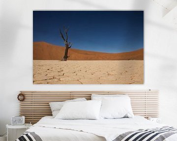 Deadvlei, Namibië van Dennis Van Den Elzen
