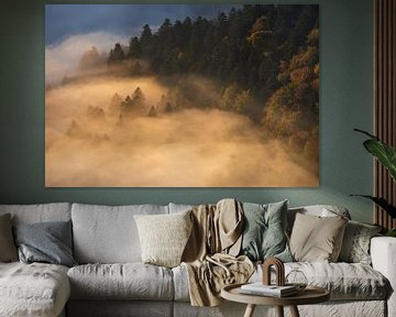 Trees in fog by Wojciech Kruczynski