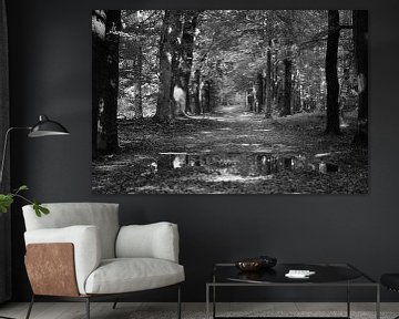 Een laan door het bos in zwart-wit van Gerard de Zwaan