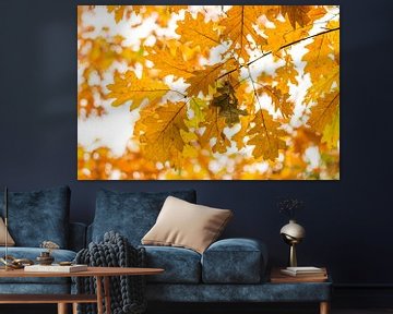 Gele herfstbladeren van Max ter Burg Fotografie