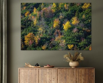 Couleurs d'automne en montagne sur Emile Kaihatu