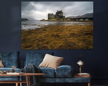 Eilean Dolan Castle, Schottland von Ab Wubben