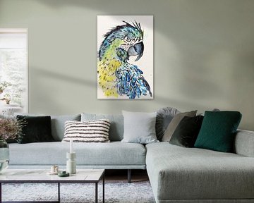 De blauwgele ara papegaai van Natalie Bruns